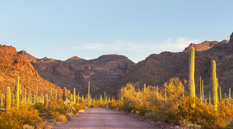 Hike the Arizona National Scenic Trail, Seminar