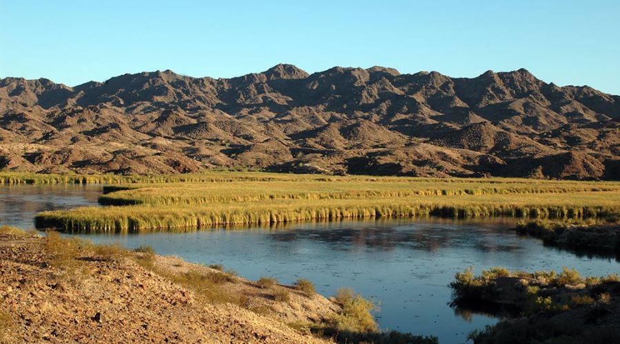 Hike, the Bill Williams River National Wildlife Refuge